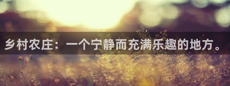 pg电子各大网站