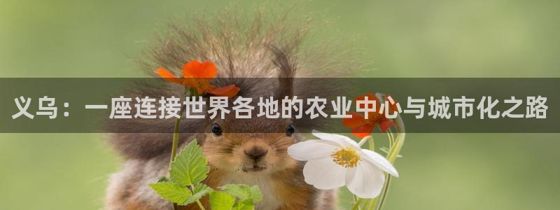 pg电子游戏网站