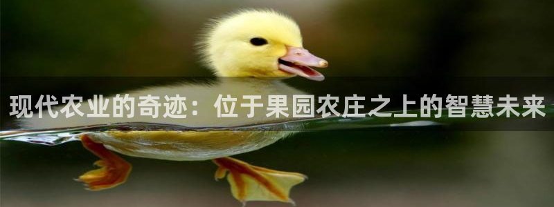 pg电子有没有靠谱点的