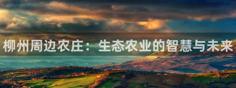 pg电子免费版ios