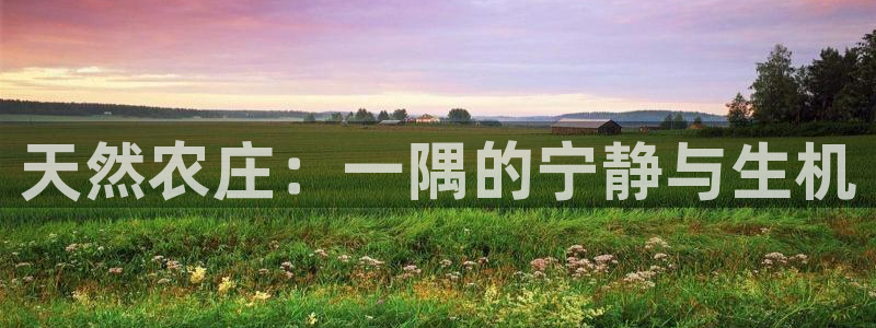 pg电子大奖爆分视频