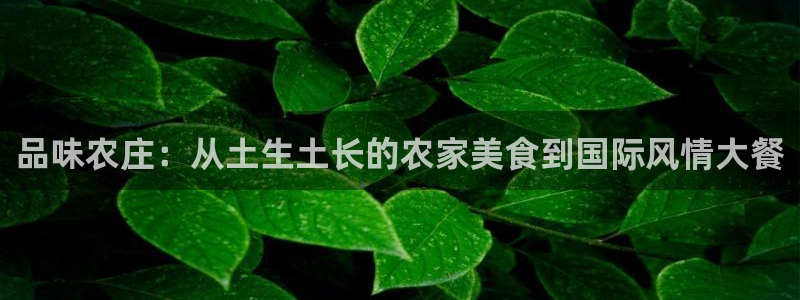 Kok里pg电子维护