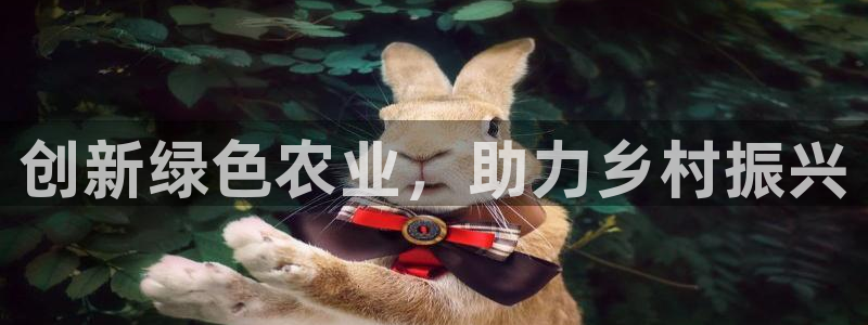 pg电子天天输怎么玩