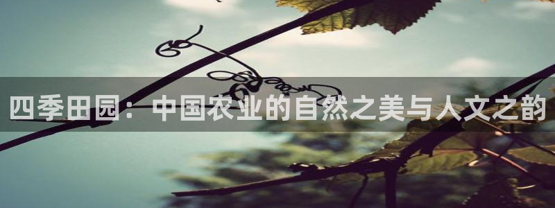 pg电子平台登录