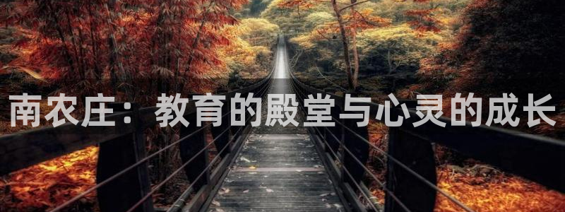 PG电子论坛