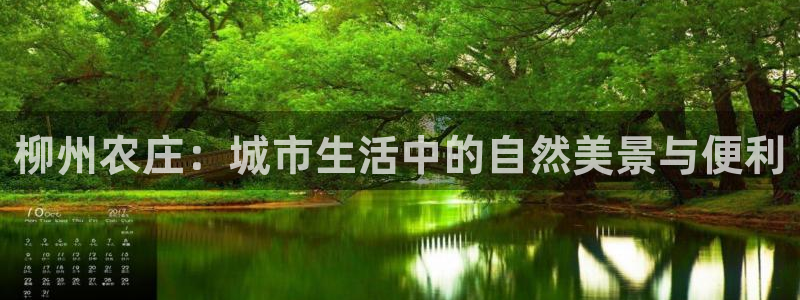 pg电子游戏视频哪里看