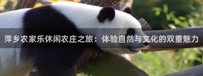 pg电子游戏江山美景图