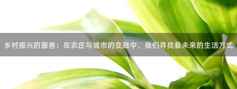 手机pg电子试玩版