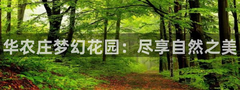 试玩pg电子游戏网址