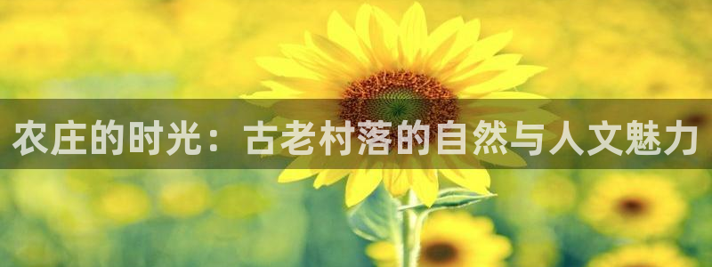 pg电子直播号