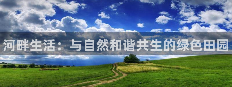 pg电子网站大平台