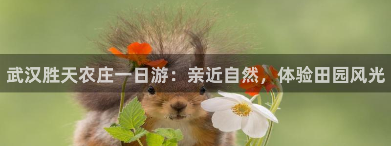 玩pg电子有赢大钱的吗