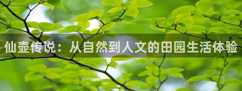 电子鼓品牌PG