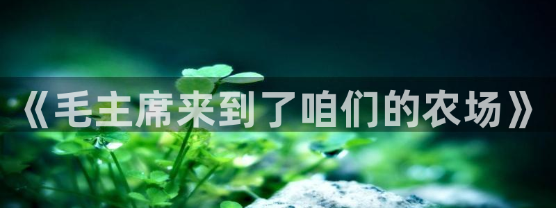 pg电子公式