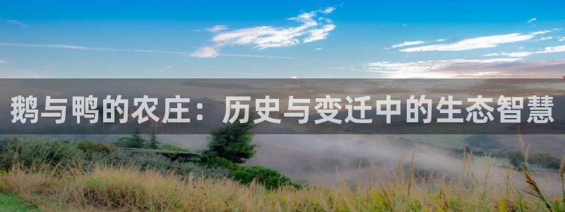 有没有PG电子体验的