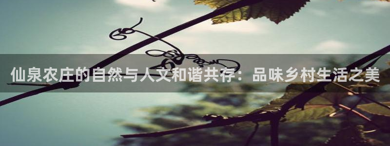 试玩pg电子游戏网址