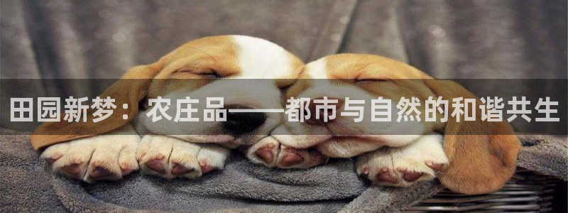 PG电子送分