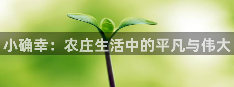 pg电子游戏在哪玩