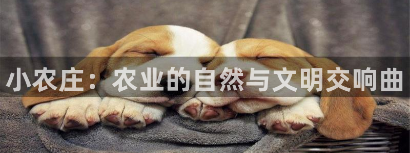 pg电子怎么能赢