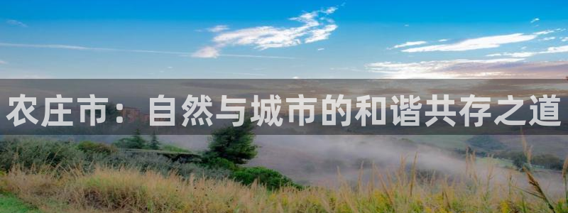 pg电子玩什么