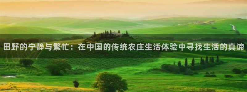 送彩金pg电子平台