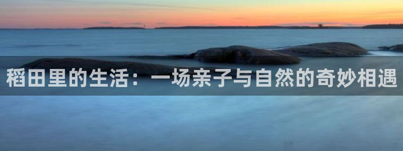 单机pg电子游戏