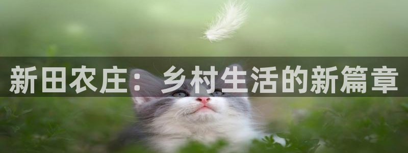 pg电子开挂神器