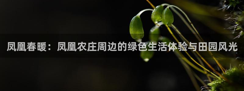 pg电子在线娱乐