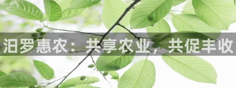 pg电子娱乐爆分视频