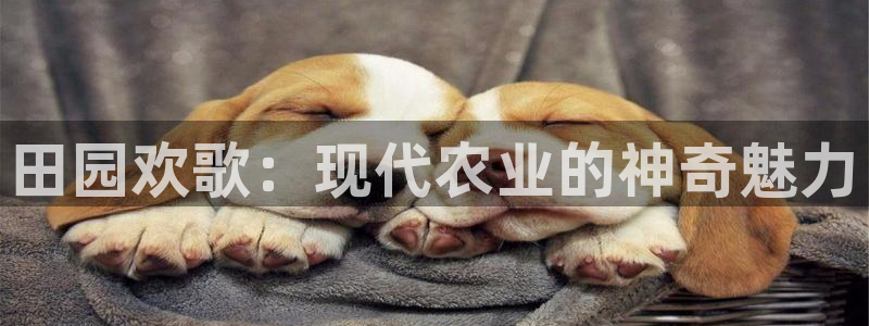 PG电子官方免费下载