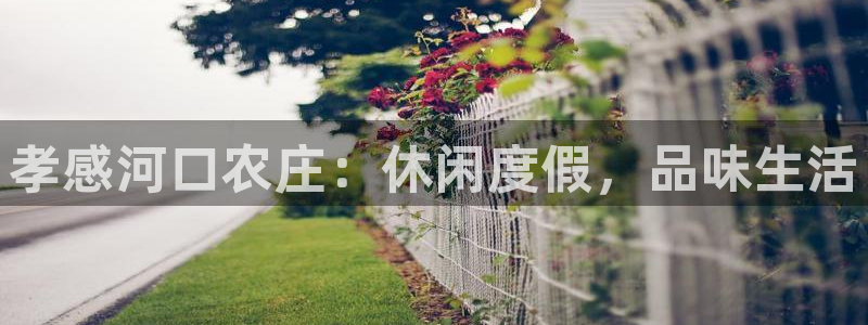 电子游戏PG新国碎