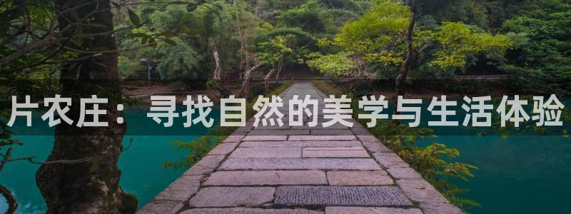 pg电子哪个游戏出分