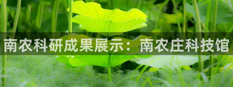 pg电子游戏交流群
