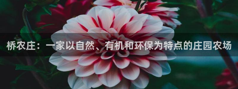 pg电子游戏贴吧