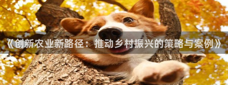 pg电子游戏试玩网