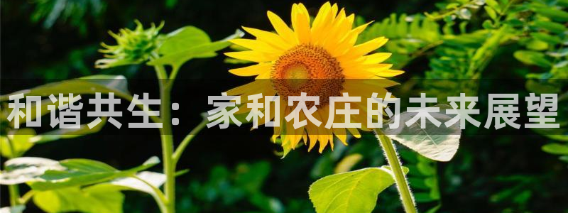 pg电子老是进不去