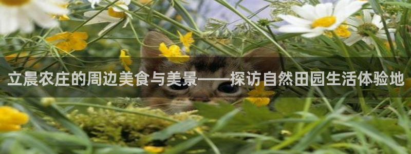 pg电子在线下载